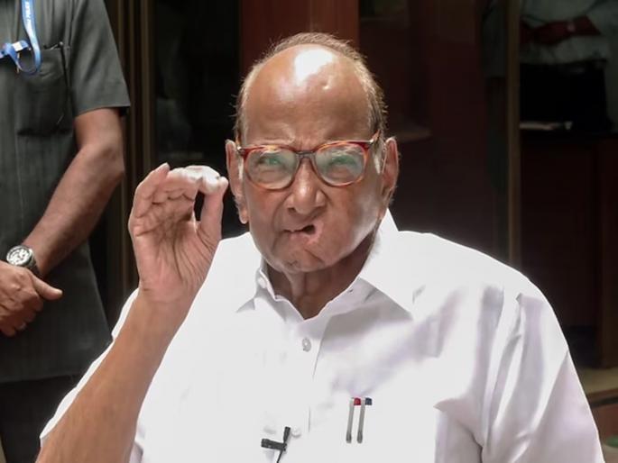 Sharad Pawar's eloquent reaction in one sentence on the result of the Assembly Speaker Rahul narvekar in case of shiv sena | विधानसभा अध्यक्षांच्या निकालावर शरद पवारांची एका वाक्यात बोलकी प्रतिक्रिया Sharad Pawar's eloquent reaction in one sentence on the result of the Assembly Speaker Rahul narvekar in case of shiv sena | विधानसभा अध्यक्षांच्या निकालावर शरद पवारांची एका वाक्यात बोलकी प्रतिक्रिया
