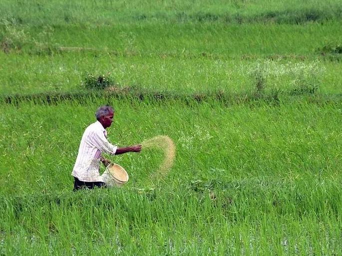 Good news: Farmers' expenses will be less abour fertilizer | केंद्र सरकार देणार खूशखबर, शेतकऱ्यांचा खर्च होणार कमी