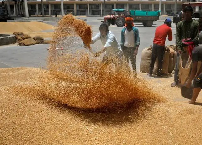 Private companies in the purchase of food grains now! Center's letter to all states | अन्नधान्य खरेदीमध्येही आता खासगी कंपन्या! केंद्राचे सर्व राज्यांना पत्र