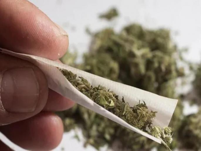 Smuggling of ganja by women under the name of hotel | हॉटेलच्या नावाखाली महिला करायच्या गांजाची तस्करी; तिघे कोठडीत Smuggling of ganja by women under the name of hotel | हॉटेलच्या नावाखाली महिला करायच्या गांजाची तस्करी; तिघे कोठडीत