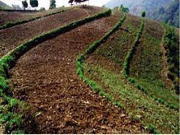 A young man was beaten over a farm dispute; A case has been registered against 4 persons in dhule sakri | शेतीच्या वादातून तरुणाला मारहाण; 4 जणांविरुद्ध गुन्हा दाखल A young man was beaten over a farm dispute; A case has been registered against 4 persons in dhule sakri | शेतीच्या वादातून तरुणाला मारहाण; 4 जणांविरुद्ध गुन्हा दाखल