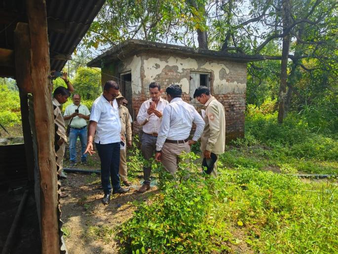 Bullock dies with two due to electric shock; The incident caused a stir in the village | विजेचा शॉक लागून दोघांसह बैलाचा मृत्यू; घटनेने गावात हळहळ Bullock dies with two due to electric shock; The incident caused a stir in the village | विजेचा शॉक लागून दोघांसह बैलाचा मृत्यू; घटनेने गावात हळहळ