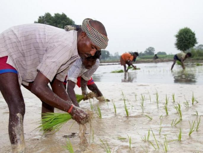Farmers of Telangana in the shadow of happiness by BRH.. Even Maharashtra can do it! | तेलंगणातले शेतकरी सुखाच्या सावलीत.. महाराष्ट्रालाही जमेल! Farmers of Telangana in the shadow of happiness by BRH.. Even Maharashtra can do it! | तेलंगणातले शेतकरी सुखाच्या सावलीत.. महाराष्ट्रालाही जमेल!
