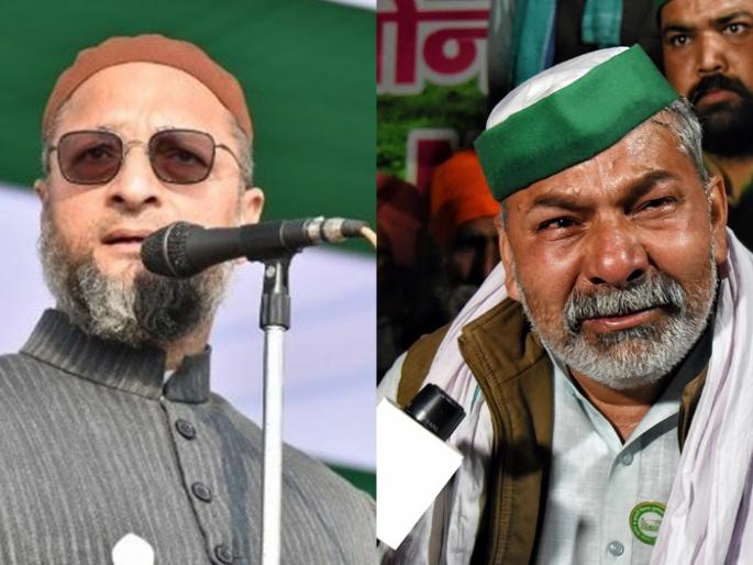 MIM BJP's B team, Tikait's scathing criticism on Asauddin Owaisi | तो उधळलेला सांड तर MIM भाजपची बी टीम, टिकैत यांची औवेसींवर बोचरी टीका MIM BJP's B team, Tikait's scathing criticism on Asauddin Owaisi | तो उधळलेला सांड तर MIM भाजपची बी टीम, टिकैत यांची औवेसींवर बोचरी टीका