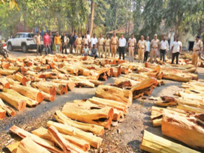 Pushpastyle theft in Panvel; 10 tons of wood seized with two smugglers | पनवेलमध्ये पुष्पास्टाईल चोरी; दोघा तस्करांसह १० टन लाकडे हस्तगत Pushpastyle theft in Panvel; 10 tons of wood seized with two smugglers | पनवेलमध्ये पुष्पास्टाईल चोरी; दोघा तस्करांसह १० टन लाकडे हस्तगत