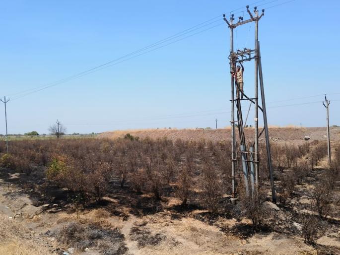 As the jump broke, sparks fell and burnt two acres of pomegranate orchard | दोन एकर डाळिंबाची बाग जळून खाक; शेतकऱ्याचे ६ लाख रुपयांचे नुकसान  As the jump broke, sparks fell and burnt two acres of pomegranate orchard | दोन एकर डाळिंबाची बाग जळून खाक; शेतकऱ्याचे ६ लाख रुपयांचे नुकसान