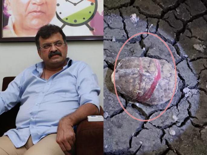 ... A case should be registered against them; Jitendra Awhad shared photos of dead turtles | ... त्यांच्यावर गुन्हा नोंदवलाच पाहिजे; फोटो शेअर करत आव्हाडांचा तीव्र संताप ... A case should be registered against them; Jitendra Awhad shared photos of dead turtles | ... त्यांच्यावर गुन्हा नोंदवलाच पाहिजे; फोटो शेअर करत आव्हाडांचा तीव्र संताप
