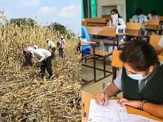 Daughter to take the exam and father to take out the tide; The thief ran away from the house gold | मुलगी परीक्षेला अन् वडील ज्वारी काढायला; चोरट्यानं घरातून ऐवज पळवला Daughter to take the exam and father to take out the tide; The thief ran away from the house gold | मुलगी परीक्षेला अन् वडील ज्वारी काढायला; चोरट्यानं घरातून ऐवज पळवला