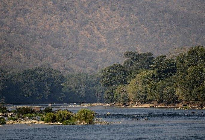Water issue flares up...Karnataka bandh called for 'Kaveri' issue today | पाणीप्रश्न पेटला... ‘कावेरी’ प्रश्नी आज कर्नाटक बंदची हाक Water issue flares up...Karnataka bandh called for 'Kaveri' issue today | पाणीप्रश्न पेटला... ‘कावेरी’ प्रश्नी आज कर्नाटक बंदची हाक