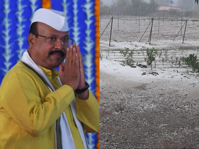 Don't worry, Govt stands by farmers; Agriculture Minister Abdul sattar's assurance | चिंता करु नका, नुकसानग्रस्त शेतकऱ्यांच्या पाठिशी सरकार; कृषिमंत्र्यांचं आश्वासन Don't worry, Govt stands by farmers; Agriculture Minister Abdul sattar's assurance | चिंता करु नका, नुकसानग्रस्त शेतकऱ्यांच्या पाठिशी सरकार; कृषिमंत्र्यांचं आश्वासन