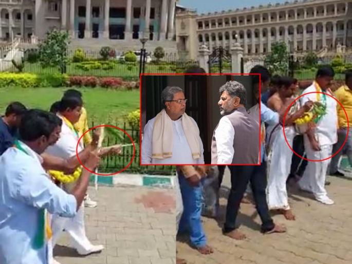 Congress supporters cleaned the assembly premises by sprinkling cow urine in karnataka | कर्नाटकात गोमुत्र शिंपडून काँग्रेसने शुद्ध केला विधानसभा परिसर, व्हिडिओ व्हायरल Congress supporters cleaned the assembly premises by sprinkling cow urine in karnataka | कर्नाटकात गोमुत्र शिंपडून काँग्रेसने शुद्ध केला विधानसभा परिसर, व्हिडिओ व्हायरल
