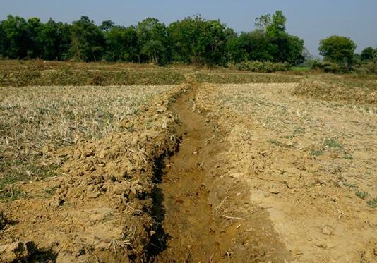Flood victims will get compensation within a week | अतिवृष्टी, पूरग्रस्तांना मिळणार आठवडाभरात नुकसानभरपाई Flood victims will get compensation within a week | अतिवृष्टी, पूरग्रस्तांना मिळणार आठवडाभरात नुकसानभरपाई