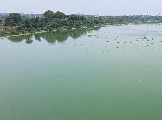 Body found in lake; Firefighters pulled out of the water in mumbra | तलावात आढळला मृतदेह; अग्निशमनच्या जवानांनी पाण्याबाहेर काढला Body found in lake; Firefighters pulled out of the water in mumbra | तलावात आढळला मृतदेह; अग्निशमनच्या जवानांनी पाण्याबाहेर काढला