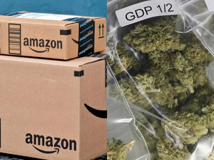 What do you say Cannabis sale from Amazon, police notice to company in bhind madhya pradesh | काय सांगता? अमेझॉनवरुन गांजाची विक्री, कंपनीला पोलिसांची नोटीस What do you say Cannabis sale from Amazon, police notice to company in bhind madhya pradesh | काय सांगता? अमेझॉनवरुन गांजाची विक्री, कंपनीला पोलिसांची नोटीस