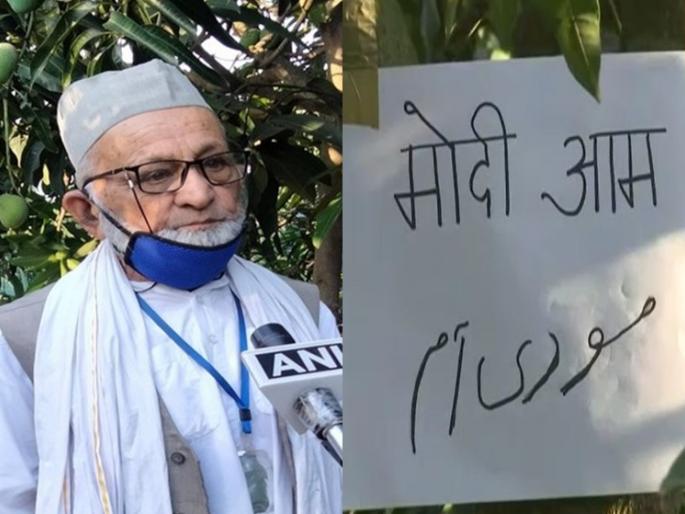 Mango Man salutes Kovid warriors, 'Modi Aam' in Padma Shri Khan's uncle's nursery | मँगो मॅनचा कोविड योद्ध्यांना अनोखा सलाम, पद्मश्री खान चाचांच्या नर्सरीत 'मोदी आम'