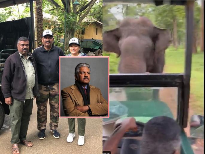 Survived by a running elephant in kabini reserve, Anand Mahindra shares a video of the world's best driver | Video: धावत्या हत्तीपासून वाचला, महिंद्रांनी शेअर केला जगातील सर्वात बेस्ट ड्रायव्हरचा व्हिडिओ Survived by a running elephant in kabini reserve, Anand Mahindra shares a video of the world's best driver | Video: धावत्या हत्तीपासून वाचला, महिंद्रांनी शेअर केला जगातील सर्वात बेस्ट ड्रायव्हरचा व्हिडिओ