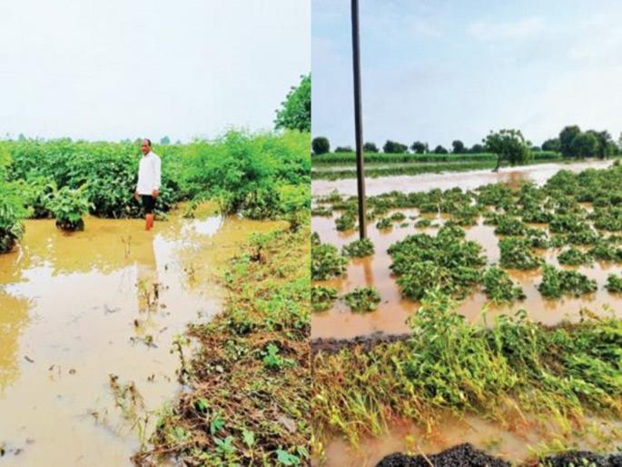 Where is life, where is the soil of crops; 10 thousand houses damaged in nagpur | कुठे जीवदान, कुठे पिकांची माती; १० हजार घरांचे नुकसान