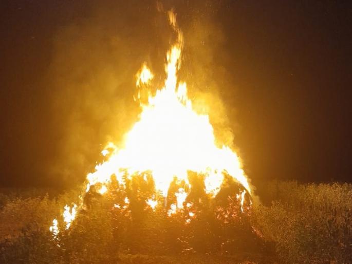 Soybeans in the fields were set on fire; Suspicion of a neighbor in buldhana khamgaon | खोडसाळपणातून शेतातील सोयाबीनची सुडी पेटविली; शेजाऱ्यावर संशय Soybeans in the fields were set on fire; Suspicion of a neighbor in buldhana khamgaon | खोडसाळपणातून शेतातील सोयाबीनची सुडी पेटविली; शेजाऱ्यावर संशय