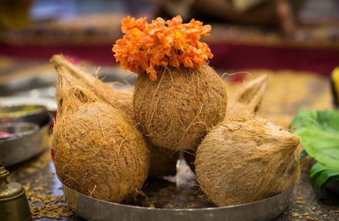 How to break coconut, how the courts will pay attention | नारळ कसे फोडावे, यात न्यायालये कसे दखल देतील How to break coconut, how the courts will pay attention | नारळ कसे फोडावे, यात न्यायालये कसे दखल देतील