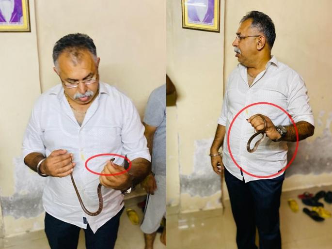 Seeing a snake in the bedroom, the citizen called the corporator of ulhasnagar bharat gangotri | बेडरुममध्ये साप पाहून नागरिकाने 'नगरसेवकालाच' फोन केला अन्... Seeing a snake in the bedroom, the citizen called the corporator of ulhasnagar bharat gangotri | बेडरुममध्ये साप पाहून नागरिकाने 'नगरसेवकालाच' फोन केला अन्...