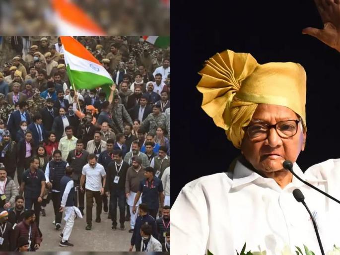 "BJP's tainted environment against Congress got answer from Bharat Joda Yatra", Says Sharad pawar on bjp | "भाजपने काँग्रेसविरुद्ध केलेल्या दूषित वातावरणाला भारत जोडा यात्रेतून उत्तर मिळालं" "BJP's tainted environment against Congress got answer from Bharat Joda Yatra", Says Sharad pawar on bjp | "भाजपने काँग्रेसविरुद्ध केलेल्या दूषित वातावरणाला भारत जोडा यात्रेतून उत्तर मिळालं"