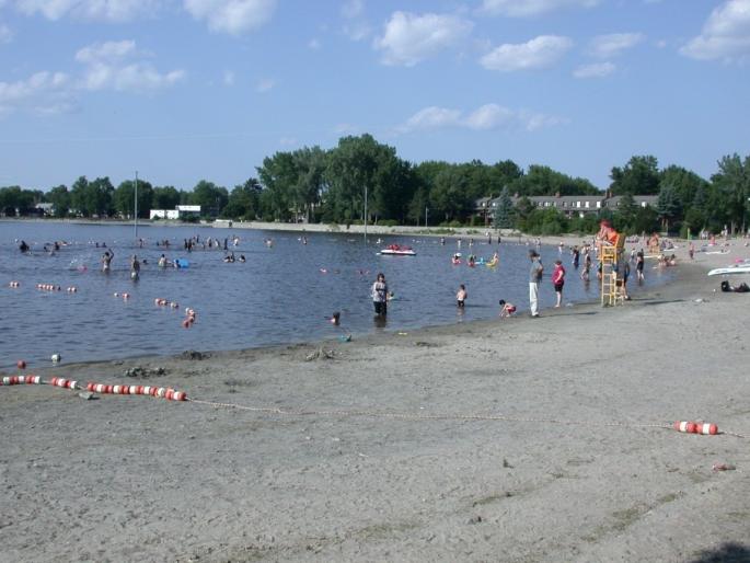 Heat waves in Canada; 130 killed, temperature rises to 49 degrees | कॅनडात उष्णतेची लाट; १३० जणांचा मृत्यू, तापमान ४९ अंशांवर Heat waves in Canada; 130 killed, temperature rises to 49 degrees | कॅनडात उष्णतेची लाट; १३० जणांचा मृत्यू, तापमान ४९ अंशांवर