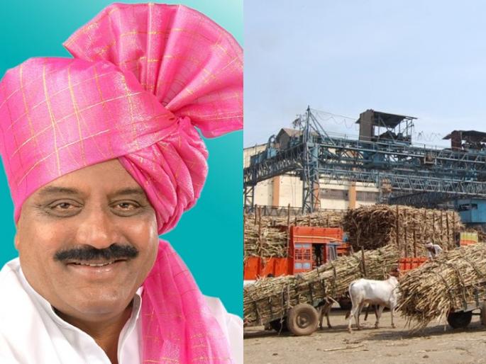 "Bidri" will give a lump sum of Rs 3,056 to sugarcane, farmers' Diwali sweet in | शेतकऱ्यांची दिवाळी गोड, 'बिद्री' देणार ऊसाला एकरक्कमी ३०५६ रुपये दर "Bidri" will give a lump sum of Rs 3,056 to sugarcane, farmers' Diwali sweet in | शेतकऱ्यांची दिवाळी गोड, 'बिद्री' देणार ऊसाला एकरक्कमी ३०५६ रुपये दर