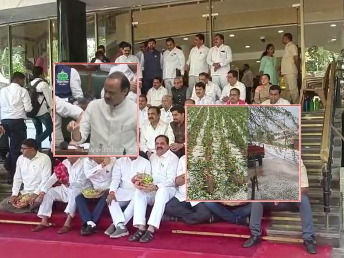 Aggressive attitude in the Legislative Assembly on the issue of farmers, the opposition walked out of the assembly | अवकाळीच्या नुकसानीवरुन विधानसभेत आक्रमक पवित्रा, विरोधकांचा सभात्याग Aggressive attitude in the Legislative Assembly on the issue of farmers, the opposition walked out of the assembly | अवकाळीच्या नुकसानीवरुन विधानसभेत आक्रमक पवित्रा, विरोधकांचा सभात्याग