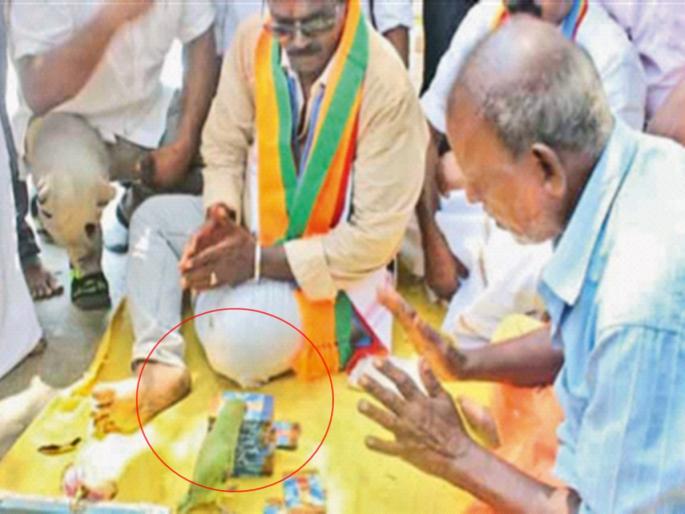 Found a parrot that tells the results; Astrologer arrested | निवडणूक निकाल सांगणारा पोपट सापडला; ज्योतिषाला अटक Found a parrot that tells the results; Astrologer arrested | निवडणूक निकाल सांगणारा पोपट सापडला; ज्योतिषाला अटक