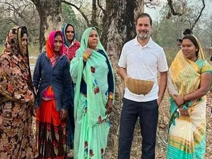 Stopping the car, Rahul Gandhi interacts with women picking flowers | कार थांबवून राहुल गांधी यांचा फुले वेचणाऱ्या महिलांशी संवाद