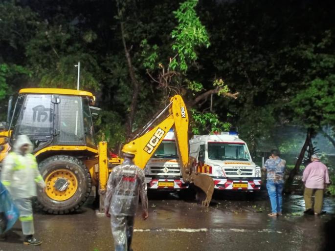 The tree fell on the ambulance, the disaster management department ran in thane | रुग्णवाहिकेवर कोसळले झाड, आपत्ती व्यवस्थापन विभागाची धाव The tree fell on the ambulance, the disaster management department ran in thane | रुग्णवाहिकेवर कोसळले झाड, आपत्ती व्यवस्थापन विभागाची धाव