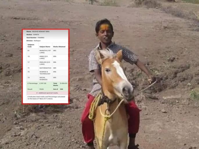 SSC Result: Sheep Charun got 92% in 10th, Gopichand Padalkars appreciated Pattha | SSC Result: मेंढ्या चारुन 10 वीत 92 % मिळवले, पडळकरांनी पठ्ठ्याचं कौतुक केले