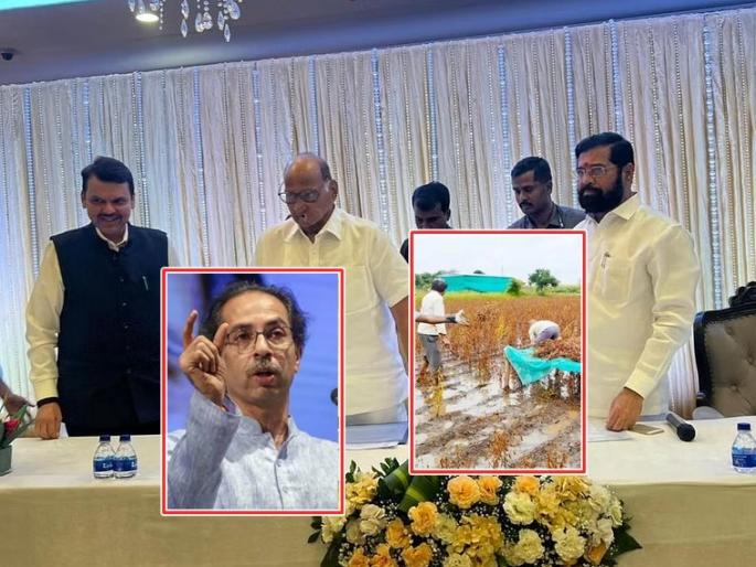 Angered by MCA's political fixing, Udhhav Thackeray hit out at everyone, including the governor | MCA च्या राजकीय फिक्सींगवरुन संतापले ठाकरे, राज्यपालांसह सगळ्यांनाच शब्दांनी झोडपले Angered by MCA's political fixing, Udhhav Thackeray hit out at everyone, including the governor | MCA च्या राजकीय फिक्सींगवरुन संतापले ठाकरे, राज्यपालांसह सगळ्यांनाच शब्दांनी झोडपले