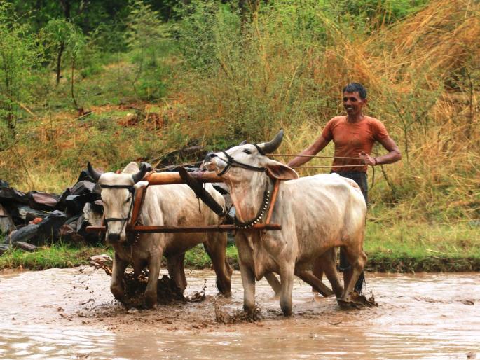 Not 12, but 6,000 to farmers: Central government's explanation | शेतकऱ्यांना १२ नव्हे ६ हजारच : केंद्र सरकारचे स्पष्टीकरण Not 12, but 6,000 to farmers: Central government's explanation | शेतकऱ्यांना १२ नव्हे ६ हजारच : केंद्र सरकारचे स्पष्टीकरण