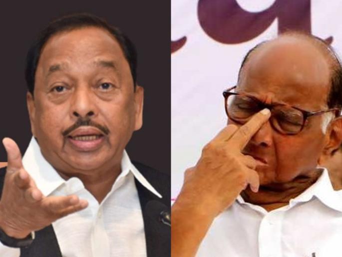 Narayan Rane : 'Pawar Saheb, look at the culture of the person who was made the Chief Minister, Rane on cm uddhav thackeray | Narayan Rane : पवारसाहेब, ज्याला मुख्यमंत्री केलं त्याचा संसस्कृतपणा बघा, राणेंनी वाचनच केलं Narayan Rane : 'Pawar Saheb, look at the culture of the person who was made the Chief Minister, Rane on cm uddhav thackeray | Narayan Rane : पवारसाहेब, ज्याला मुख्यमंत्री केलं त्याचा संसस्कृतपणा बघा, राणेंनी वाचनच केलं