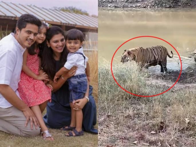 Rohit Pawar: Maharashtra is like that too, isn't it, Baba? Questions to Rohit Pawar's children after seeing a tiger in the forest | Rohit Pawar: महाराष्ट्रही असाच आहे ना बाबा? जंगलातील वाघ पाहून रोहित पवारांच्या मुलांना पडला प्रश्न Rohit Pawar: Maharashtra is like that too, isn't it, Baba? Questions to Rohit Pawar's children after seeing a tiger in the forest | Rohit Pawar: महाराष्ट्रही असाच आहे ना बाबा? जंगलातील वाघ पाहून रोहित पवारांच्या मुलांना पडला प्रश्न