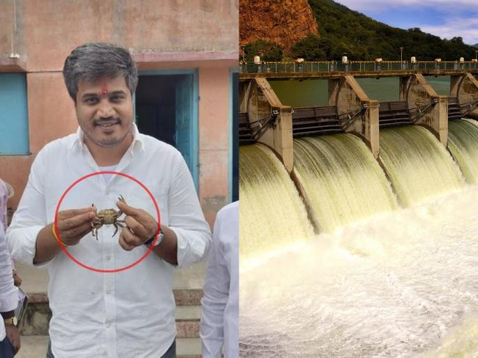 Crab in the hands of Rohit Pawar; Criticism of the Minister once again | रोहित पवारांच्या हाती जिवंत खेकडा; पुन्हा एकदा मंत्रीमहोदयांवर निणाशा Crab in the hands of Rohit Pawar; Criticism of the Minister once again | रोहित पवारांच्या हाती जिवंत खेकडा; पुन्हा एकदा मंत्रीमहोदयांवर निणाशा