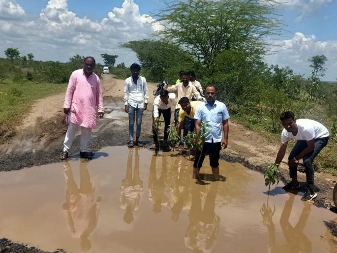 Sieve of Pohradevi-Panchala road; Protest by planting a besram tree in the gravel | पोहरादेवी-पंचाळा रस्त्याची चाळण; खड्यात बेशरमचे झाड लावून ग्रामस्थांकडून निषेध Sieve of Pohradevi-Panchala road; Protest by planting a besram tree in the gravel | पोहरादेवी-पंचाळा रस्त्याची चाळण; खड्यात बेशरमचे झाड लावून ग्रामस्थांकडून निषेध