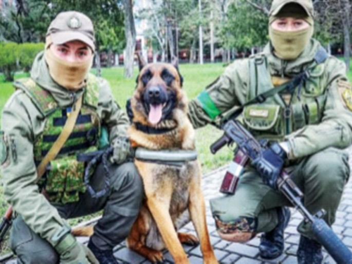 Russian army dog kills 'Palti', now helping Ukrainian soldiers | रशियन सैन्याच्या कुत्र्याने मारली ‘पलटी’, युक्रेनच्या सैनिकांची करतोय मदत
