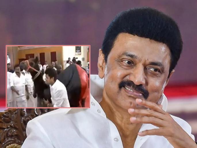 Video: South people's voice is open, the Chief Minister M.K. Stalin was gifted a camel on his birthday by DMK kadre | Video: साऊथवाल्यांचा नादच खुळा, मुख्यमंत्र्यांना वाढदिवशी उंटच भेट दिला Video: South people's voice is open, the Chief Minister M.K. Stalin was gifted a camel on his birthday by DMK kadre | Video: साऊथवाल्यांचा नादच खुळा, मुख्यमंत्र्यांना वाढदिवशी उंटच भेट दिला