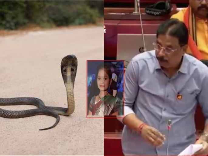 Poor health care across Maharashtra, Palghar snakebite issue in Assembly | 'महाराष्ट्रभर आरोग्यसेवेची दुरवस्था', आमदारांकडून सर्पदंश मृत्यूचा मुद्दा विधानपरिषदेत Poor health care across Maharashtra, Palghar snakebite issue in Assembly | 'महाराष्ट्रभर आरोग्यसेवेची दुरवस्था', आमदारांकडून सर्पदंश मृत्यूचा मुद्दा विधानपरिषदेत