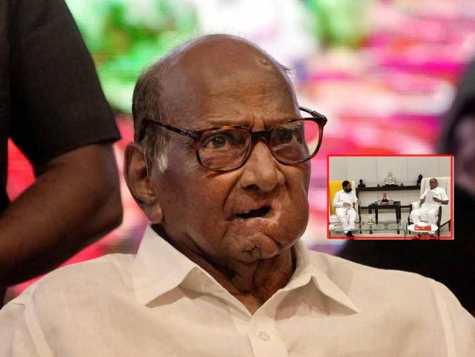 Sharad Pawar meets Chief Minister Eknath Shinde, video of Varsha bungalow in front | Video: शरद पवार मुख्यमंत्र्यांच्या 'वर्षा' बंगल्यात; CM शिंदेंनी सांगितलं भेटीचं कारण