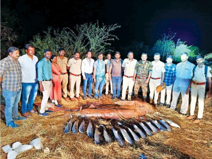 A fisherman lost his leg in a shark attack in Palghar | पालघरला शार्कच्या हल्ल्यात मच्छीमाराने गमावला पाय