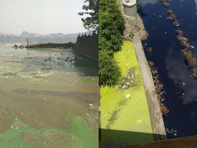 The sewage treatment plant is not yet operational, the sewage directly into the Valdhuni river | मलशुद्धीकरण केंद्र अद्यापही कार्यान्वित नाही, सांडपाणी थेट वालधुनी नदीत The sewage treatment plant is not yet operational, the sewage directly into the Valdhuni river | मलशुद्धीकरण केंद्र अद्यापही कार्यान्वित नाही, सांडपाणी थेट वालधुनी नदीत