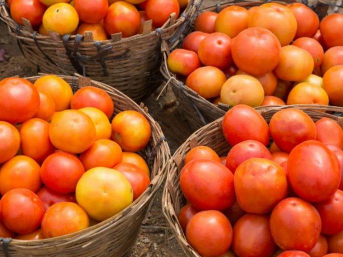 Loss of farmers due to fall in market prices pdc | बाजारभाव घसरल्याने शेतकऱ्यांचे नुकसान Loss of farmers due to fall in market prices pdc | बाजारभाव घसरल्याने शेतकऱ्यांचे नुकसान