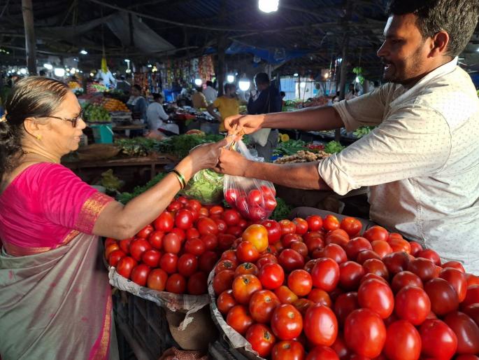 Big fall in tomato prices in the state; Huge loss to farmers | भाव घसरला... टोमॅटोच्या दरात मोठी घसरण; शेतकऱ्यांचे प्रचंड नुकसान Big fall in tomato prices in the state; Huge loss to farmers | भाव घसरला... टोमॅटोच्या दरात मोठी घसरण; शेतकऱ्यांचे प्रचंड नुकसान