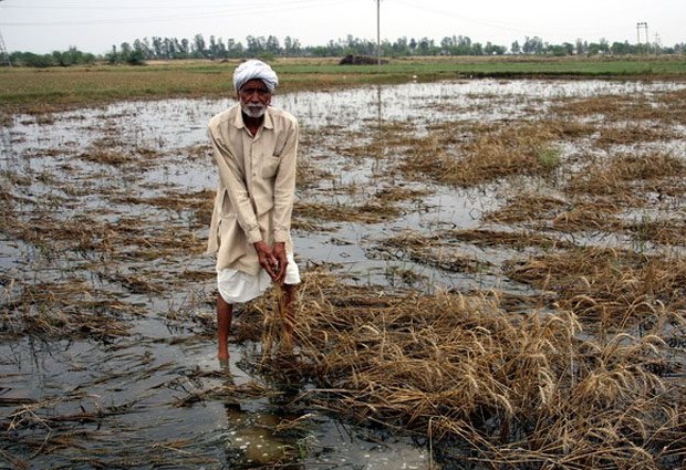 Editorial - Call of ruined dreams, tears in Baliraja's eyes due to heavy rains | संपादकीय - उद्ध्वस्त स्वप्नांची हाक, अतिवृष्टीने बळीराजाच्या डोळ्यात पाणी Editorial - Call of ruined dreams, tears in Baliraja's eyes due to heavy rains | संपादकीय - उद्ध्वस्त स्वप्नांची हाक, अतिवृष्टीने बळीराजाच्या डोळ्यात पाणी