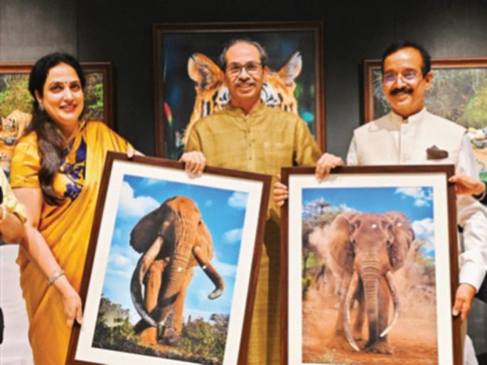 No housing plan for animals! | प्राण्यांसाठी आवास योजना नाही - उद्धव ठाकरे No housing plan for animals! | प्राण्यांसाठी आवास योजना नाही - उद्धव ठाकरे