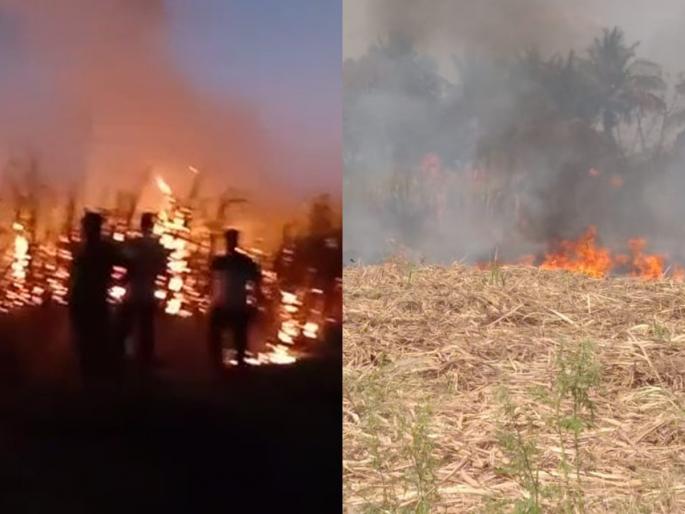 Big loss to Baliraja due to burning of 20 acres of sugarcane and loss of hand crop in latur | 20 एकरावरील ऊस जळून खाक, हातचं पीक गेल्यानं बळीराजाचं मोठं नुकसान Big loss to Baliraja due to burning of 20 acres of sugarcane and loss of hand crop in latur | 20 एकरावरील ऊस जळून खाक, हातचं पीक गेल्यानं बळीराजाचं मोठं नुकसान