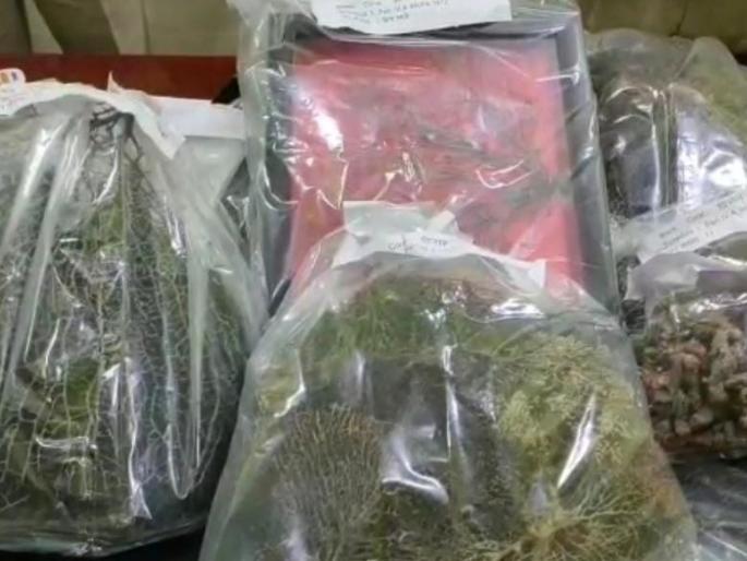 Shocking! The police were also shocked to see the items found in the architect's house | धक्कादायक ! वास्तुविशारदच्या घरी सापडल्या वस्तू पाहून पोलीसही अवाक् Shocking! The police were also shocked to see the items found in the architect's house | धक्कादायक ! वास्तुविशारदच्या घरी सापडल्या वस्तू पाहून पोलीसही अवाक्